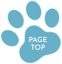 pagetop